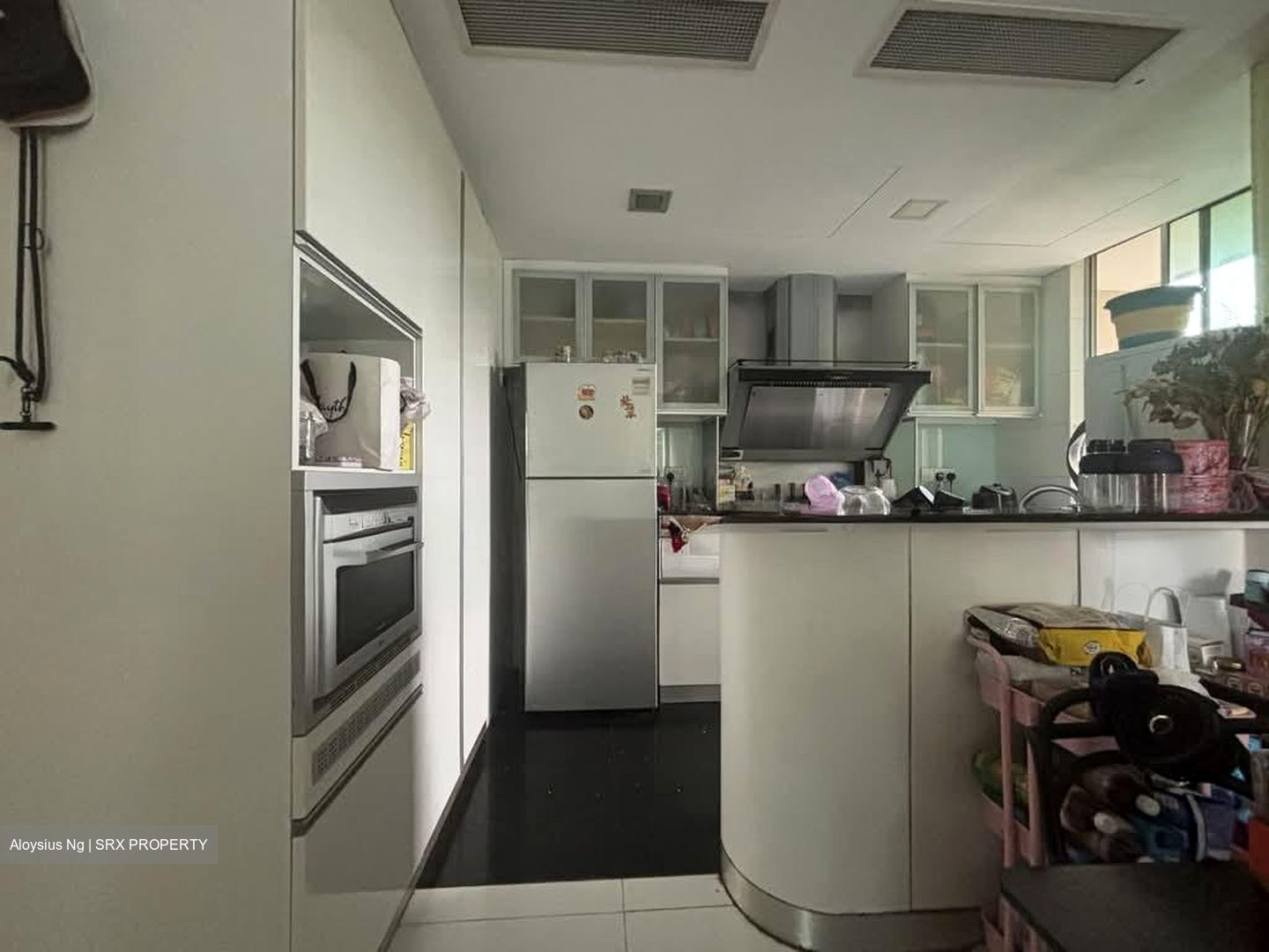 Parc Mackenzie (D9), Apartment #535560471